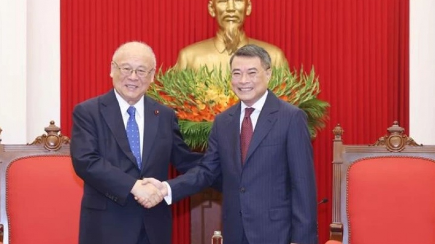 Vietnam treasures comprehensive strategic partnership with Japan: Party official